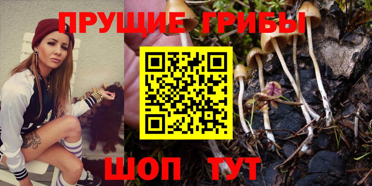 Псилоцибиновые грибы Magic Shrooms Соль-Илецк