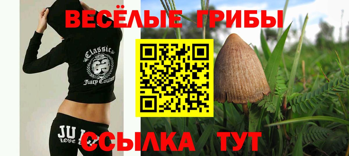 Соль-Илецк  Галлюциногенные грибы GOLDEN TEACHER  Вход с VPN 